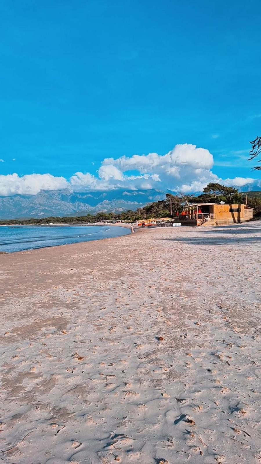 Studio Proche De La Mer Calvi (Corsica) Exterior foto